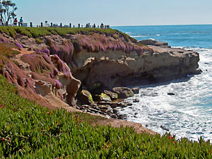 la-jolla-photography-tour